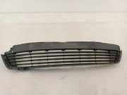 Gitter vorne unten TOYOTA YARIS (_P1_) 1.4 D-4D (NLP10_) 531120D210