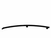 Glasschiene der hinteren Tür TOYOTA RAV 4 IV (_A4_) 2.0 D (ALA40_)