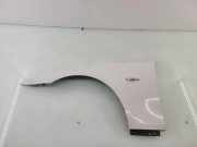 Kotflügel vorne links BMW 5 Touring (E61) 530 d