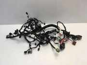 Motor Kabelbaum NISSAN JUKE (F16) 1.0 240116PB1A