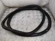 Dichtungsgummi für die hintere linke Tür AUDI Q4 SUV (F4B) 40 e-tron 89A833721