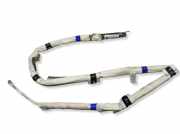 SRS Modul Dach links AUDI A5 Sportback (8TA) 2.7 TDI 8T8880741A