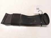 Andere Röhren RENAULT GRAND SCÉNIC III (JZ0/1_) 1.9 dCi T06009A183 244930005R