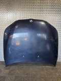Motorhaube BMW 5 Touring (E61) 530 d 6917364