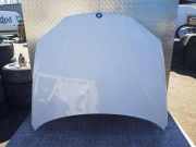 Motorhaube BMW X6 (F16, F86) xDrive 30 d