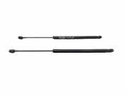 Heckklappe Gasdruckfeder links MERCEDES-BENZ C T-Model (S203) C 220 CDI (203.208) K5423