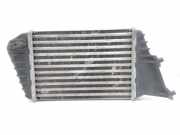 Ladeluftkühler FIAT STILO (192_) 1.9 JTD (192_XF1A) 838065000