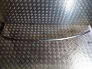 Dachleiste links MERCEDES-BENZ S (W221) S 320 CDI (221.022, 221.122)