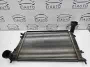 Ladeluftkühler VW PASSAT B6 (3C2) 1.9 TDI 0281002399