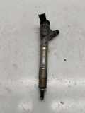 Einspritzdüse RENAULT GRAND SCÉNIC IV (R9_) 1.5 dCi 110 0445110895