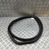 Türgummi rechts vorne Volvo V70 III (135) 31278771