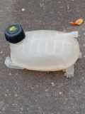 AUSGLEICHSBEHÄLTER KÜHLWASSER RENAULT CLIO V (B7_) 1.3 TCe 130 (B7MF) 4334