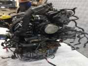 Motor ohne Anbauteile (Diesel) Renault Megane IV Grandtour (K9A) K9KG656