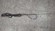 Antenne Dach Renault Megane Scenic (JA)