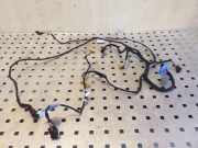 Kabel Tür vorne rechts AUDI A4 (8K2, B8) 3.0 TDI quattro 8K0971693