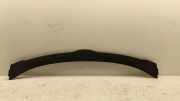 Frischluftgrill TESLA MODEL Y EV 1083390801