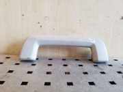 Griff Panoramadach Ford Kuga ()