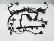 Motor Kabelbaum BMW 5 (F10) 530 d 756069502