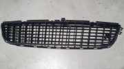 Gitter vorne unten OPEL VECTRA C 2.2 16V 906000003