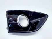 Gitter Grill vorne rechts FORD C-MAX II (DXA/CB7, DXA/CEU) 1.6 TDCi AM51-R19552BAW