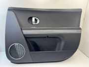 Türverkleidung rechts vorne Hyundai Ioniq (AE) 82324GI010