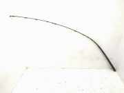 Dachleiste links MERCEDES-BENZ B (W245) B 180 CDI (245.207) A1696901730