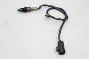 Sauerstoffsensor (Lambdasensor) JAGUAR XJ (X351) 5.0 V8 DX23-9G444-EB