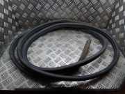 Türgummi links vorne Opel Movano B Kasten (X62)