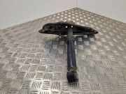 Stoßdämpfer hinten rechts CITROËN DS5 2.0 BlueHDi 150 32T39A 814903009342