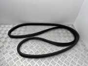 Türgummi links vorne BMW X5 (E70)