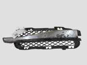Gitter vorne unten JAGUAR XF (X250) 3.0 D 8X2315K232BC