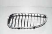 Gitter Grill vorne links BMW 5 (E60) 520 d 51137065701 7027061