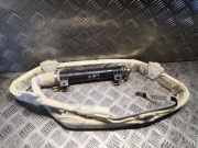 Airbag Dach links Mercedes-Benz S-Klasse (W220) 2208600505