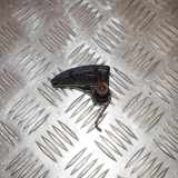 Kettenschieber VW TOURAN (1T1, 1T2) 1.6 FSI 03C109507