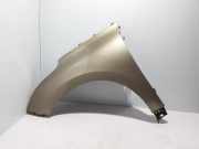 Kotflügel links vorne Renault Scenic IV (J9) 631010815R