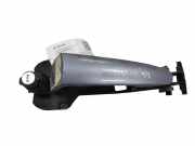 Türaußengriff links FIAT ULYSSE (179_) 2.2 JTD 1487119080