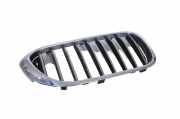Vorderer oberer Gitter BMW 5 (G30) 520 d 7053520 7390864