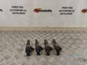 Düsenstöcke Ford EcoSport () 0445110489