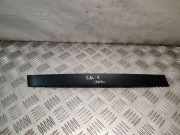 Türverkleidung rechts hinten BMW 3er Touring (E46)