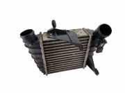 Ladeluftkühler VW POLO (9N_) 1.2 12V 6q0145804a