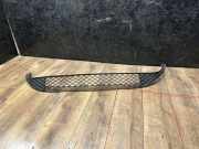 Gitter vorne unten MERCEDES-BENZ A (W176) A 220 4-matic (176.047) A1768850022