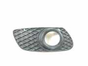 Nebelscheinwerferverkleidung MERCEDES-BENZ M (W164) ML 350 4-matic (164.186) 62216