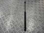 Heckklappe Gasdruckfeder links MERCEDES-BENZ C (W202) C 220 D (202.121) 2029800364