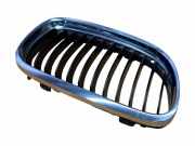 Vorderer oberer Gitter BMW 3 Touring (E91) 320 d 22405910