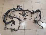Motor Kabelbaum TOYOTA URBAN CRUISER (_P1_) 1.4 D-4D (NLP110_)