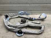 SRS Modul Dach links AUDI A6 (4F2, C6) 2.7 TDI 4F9880741A