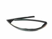 Türgummi links vorne Jaguar XE (X760) GX7321597A