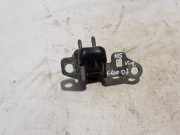 Türscharnier hinten links Renault Clio III (BR0/1, CR0/1) 824011716R