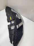 Vorderer oberer Gitter NISSAN QASHQAI II (J11, J11_) 1.2 DIG-T 623124EA0A
