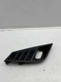 Gitter vorne unten NISSAN JUKE (F16) 1.0 622576PA0A